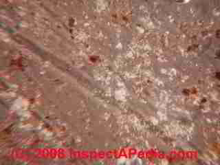 Paint lab Photograph of sample of failed paint